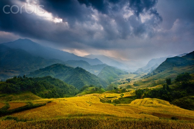 Ruộng bậc thang của vùng cao Tây Bắc Việt Nam đứng ở vị trí hàng đầu về vẻ đẹp cảnh quan và kỳ công lao động của con người.